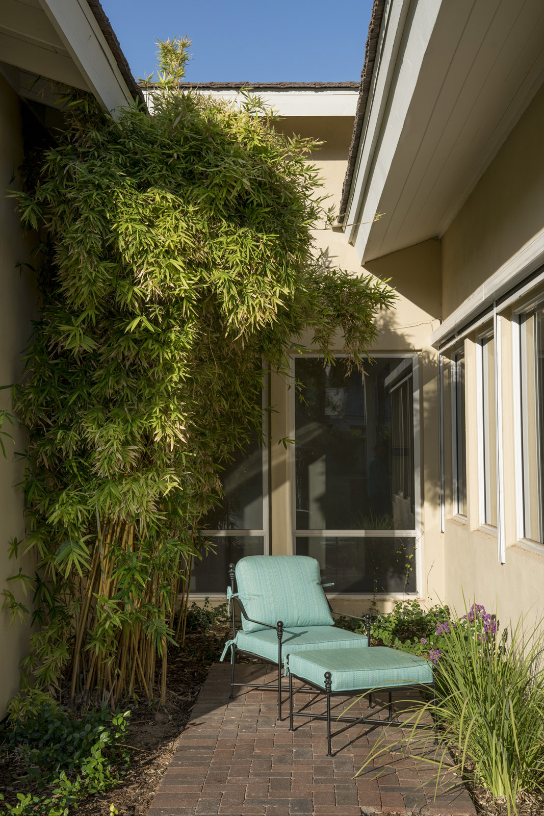 2017 06 23 06.53.03 1